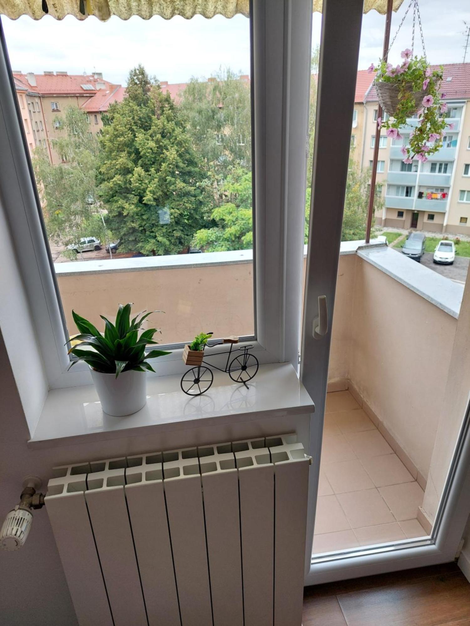 Hradec Králové B&B Resslova מראה חיצוני תמונה